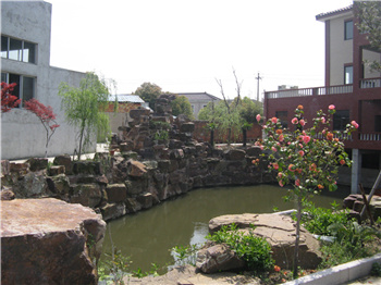 1669004297101160.jpg IMG_7198.jpg